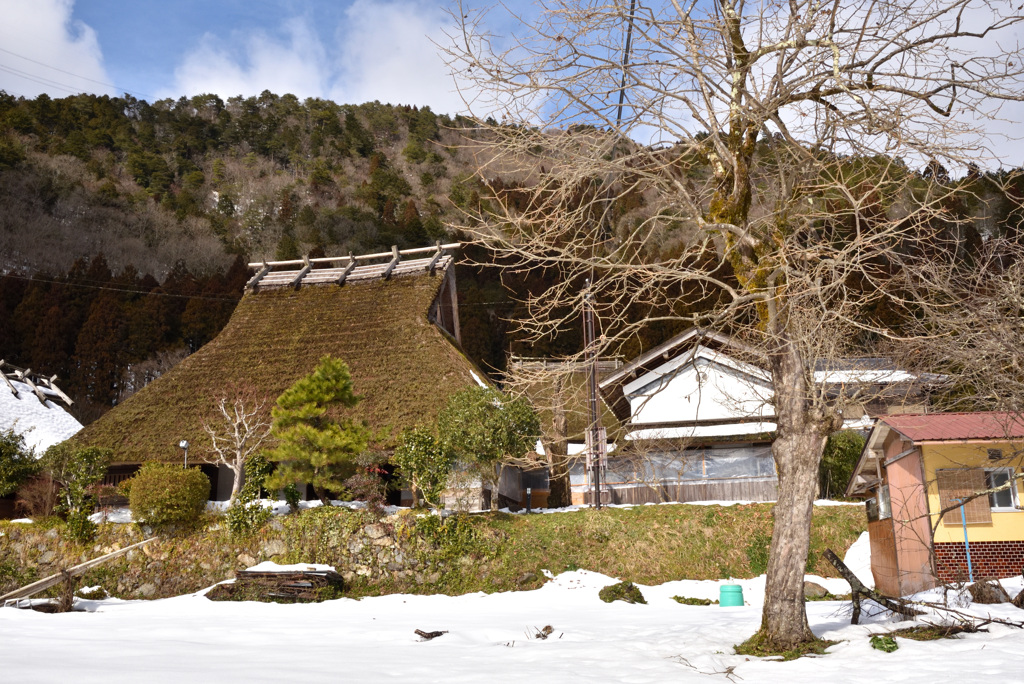 山里の冬