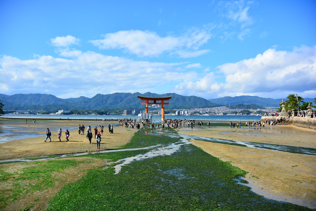 大鳥居三景