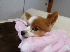 相棒