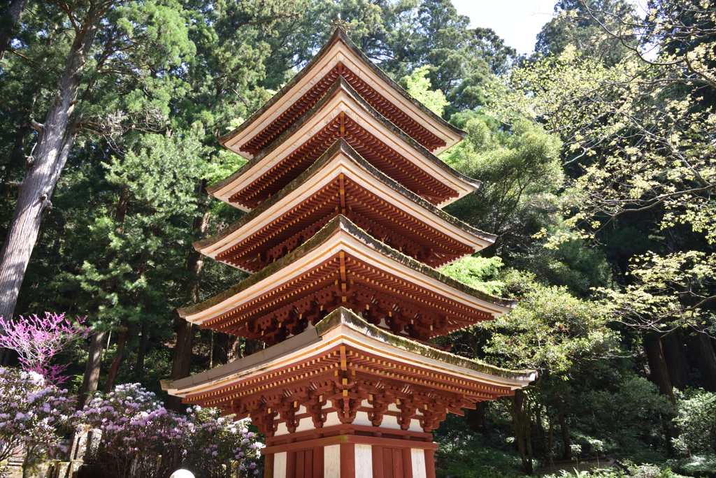 百塔巡拝　室生寺
