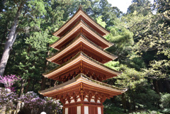 百塔巡拝　室生寺