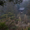 雨の那谷寺