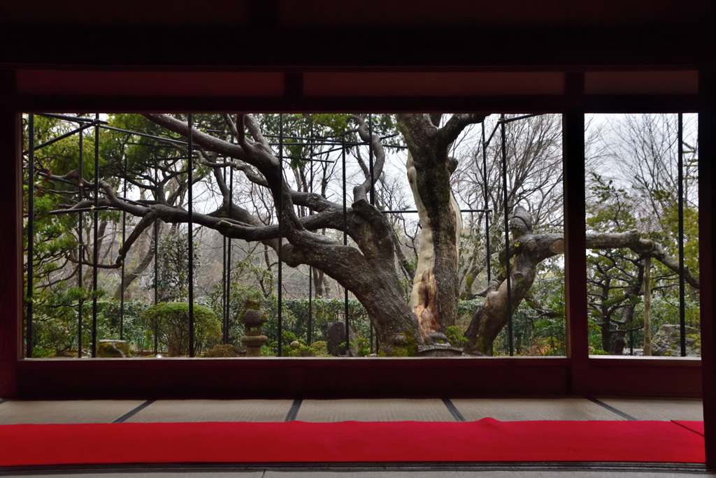 宝泉院