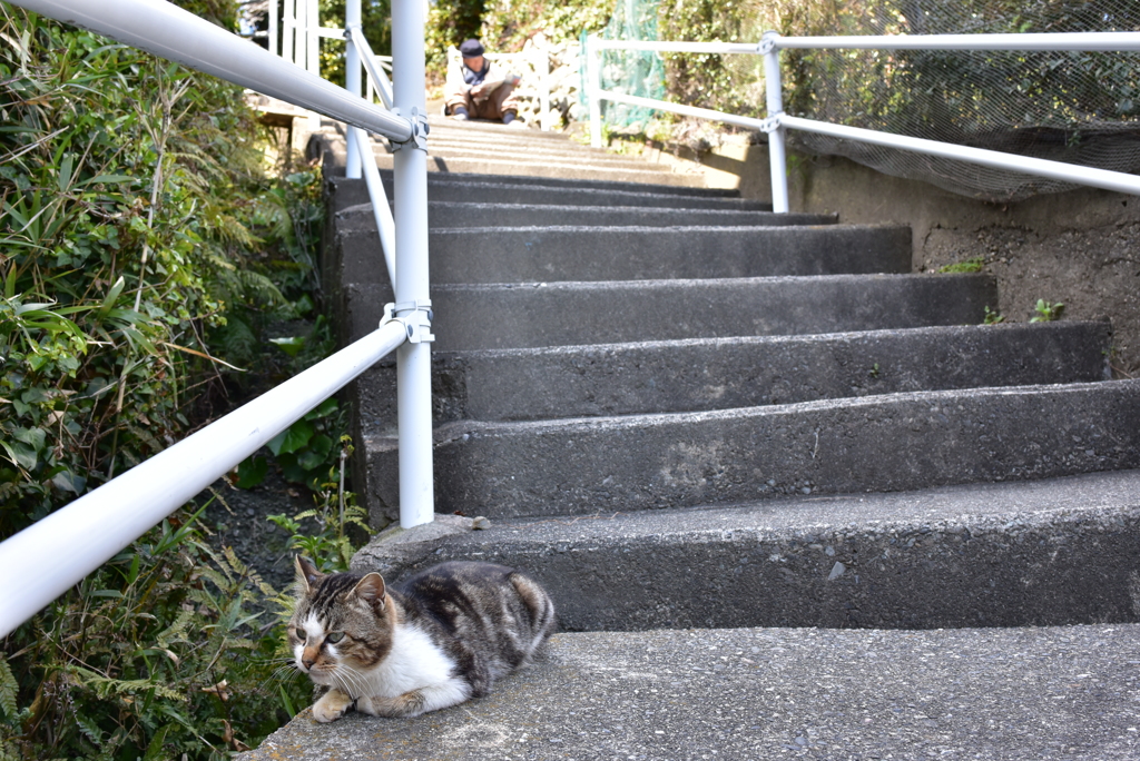 ねことじいちゃん