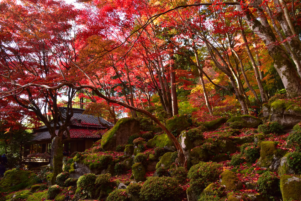 red&green