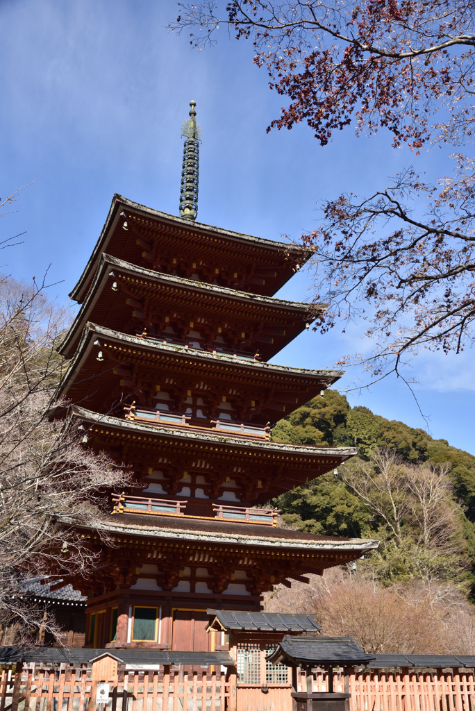 百塔巡拝　長谷寺