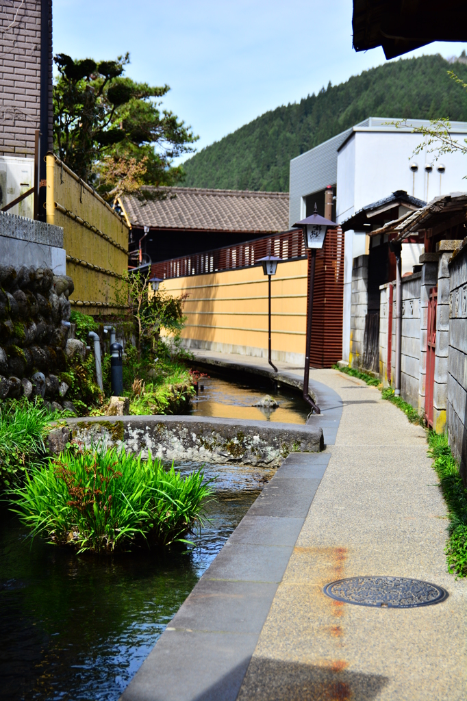 もどり道