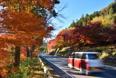 秋を駆け抜けろ！