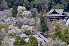 花の御寺