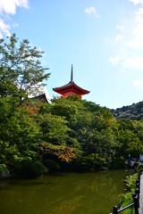 家族に引かれて清水参り