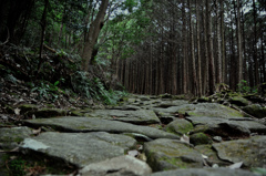 古道