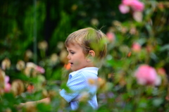 Beautiful Boy