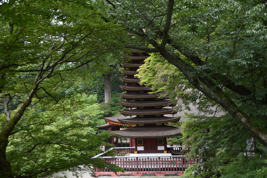 深緑の間（はざま）より