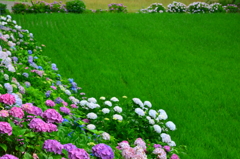 恵み