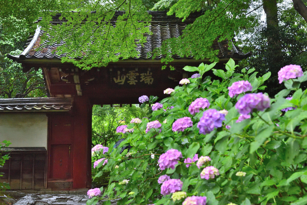 瑞雲山
