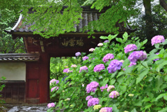 瑞雲山