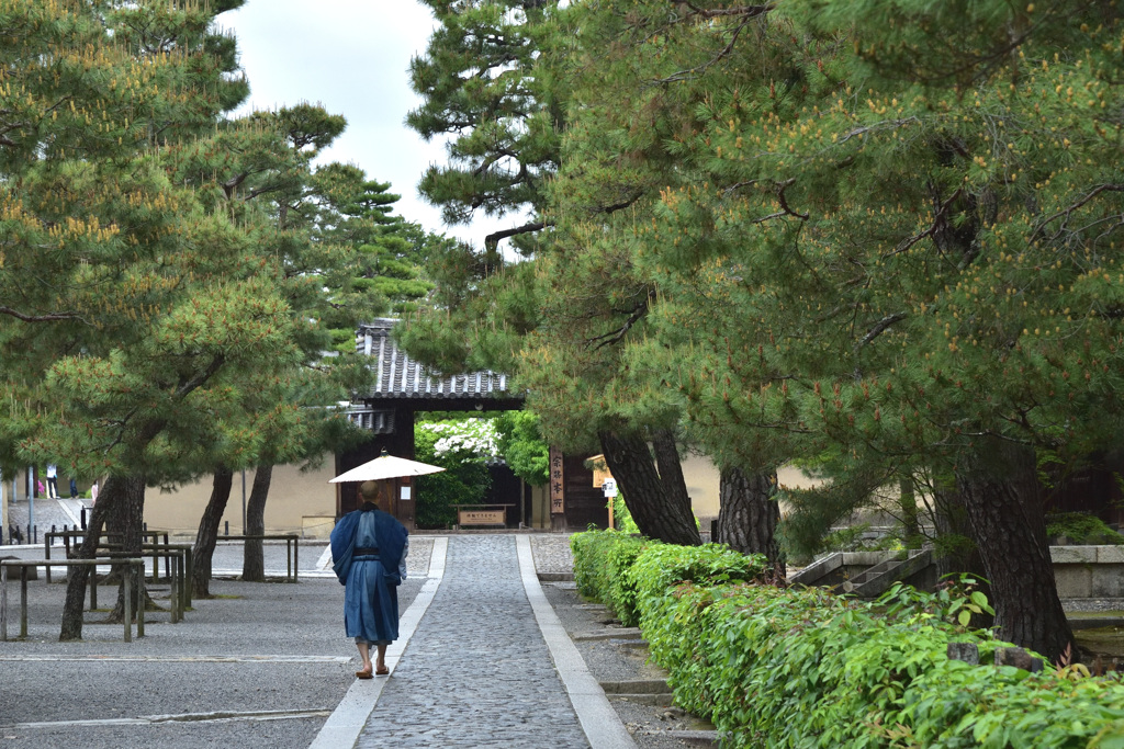 雨の日には雨の中を