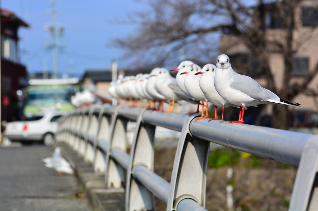 ボクですか！？