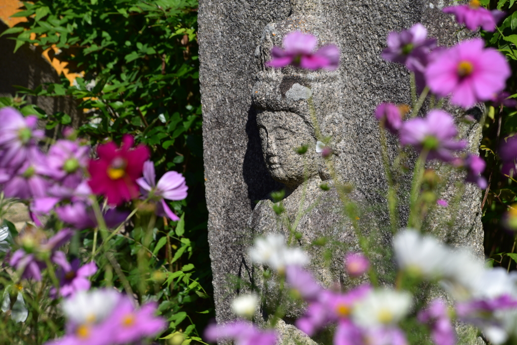 花仏