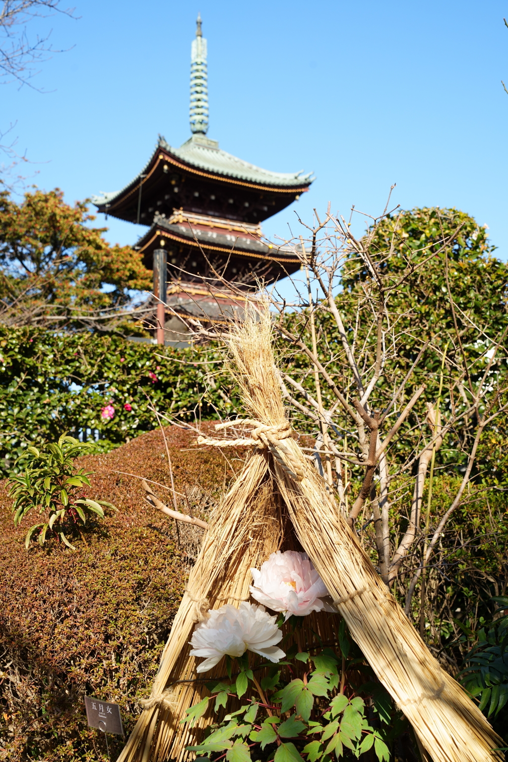 上野東照宮五重塔