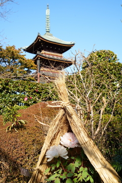 上野東照宮五重塔
