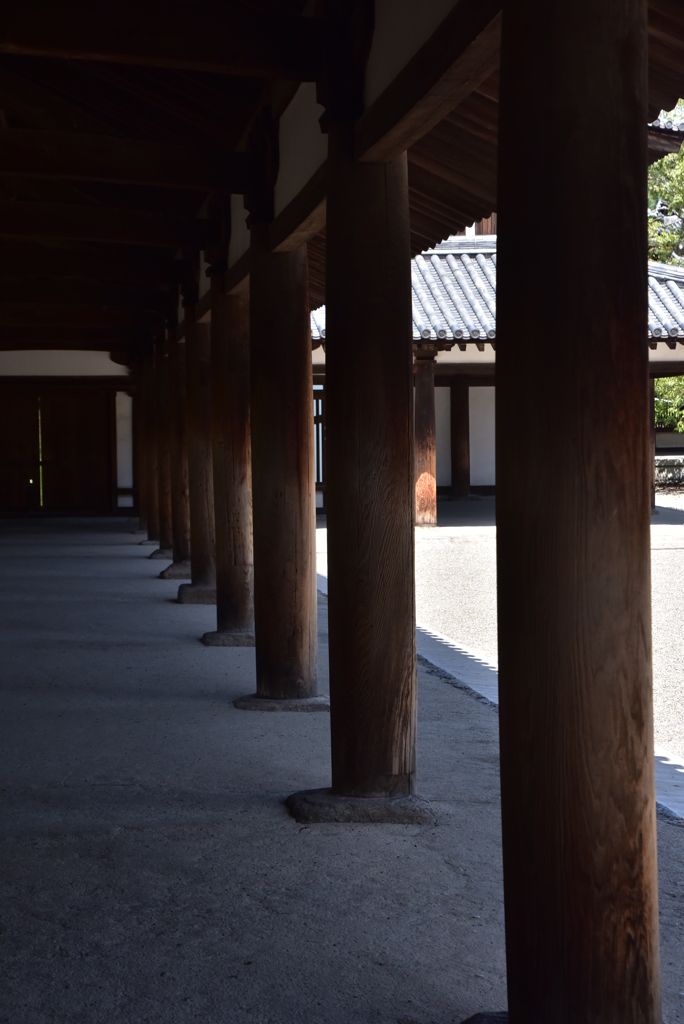 法隆寺　回廊の柱