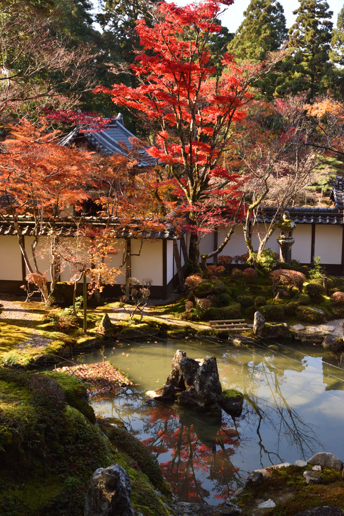 ちらりと映り込み