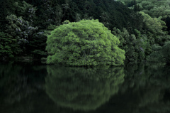 いつかもう一度