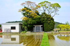 加努弥神社