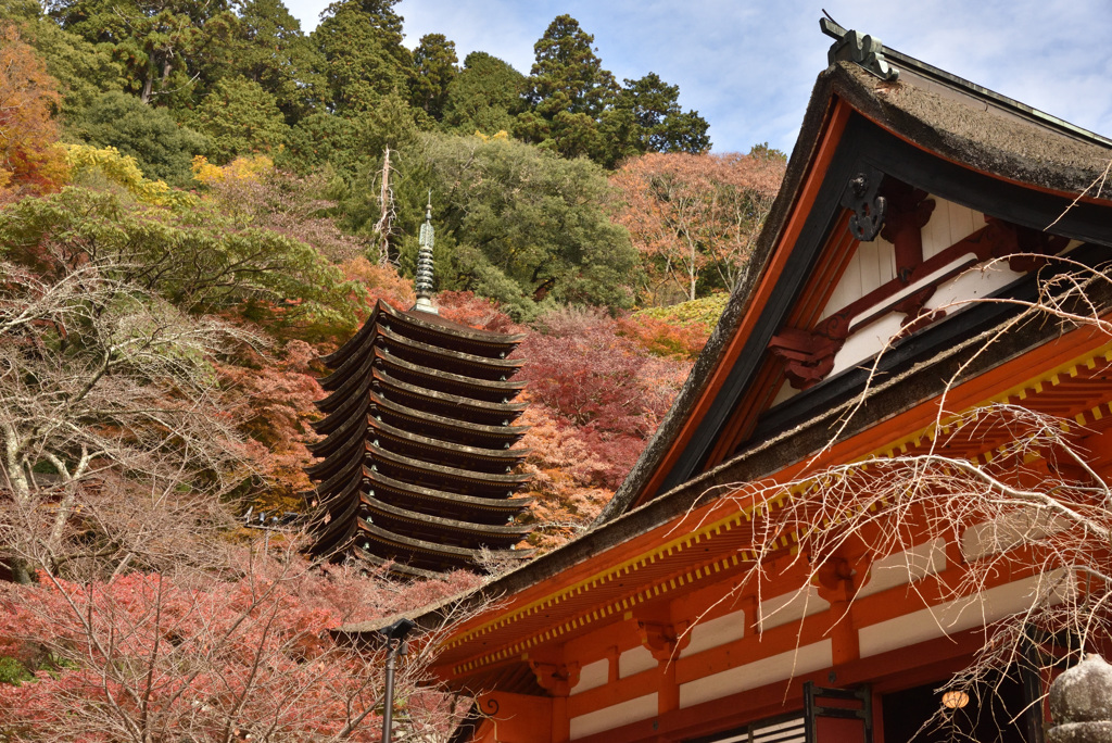 談山神社定番構図