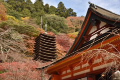 談山神社定番構図