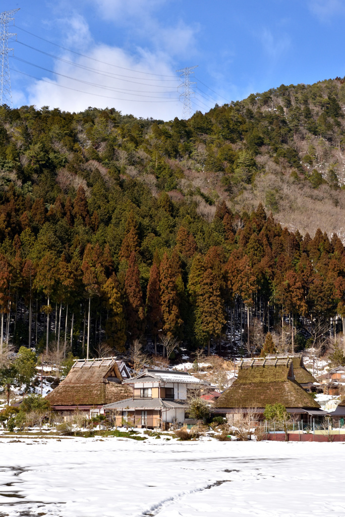 山里の冬