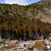 山里の冬