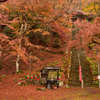 金剛院の散紅葉