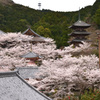壷阪寺遠望