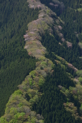 骨折り損のくたびれ儲け