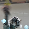 虎パンチ炸裂！
