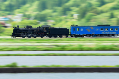 train train♪