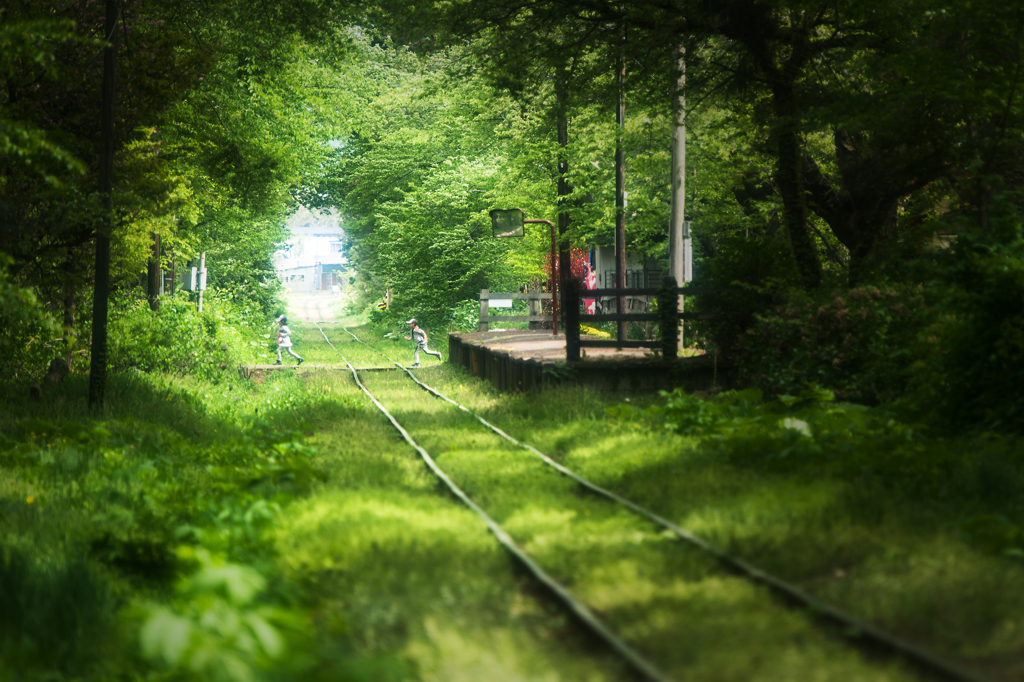 こもれびの駅
