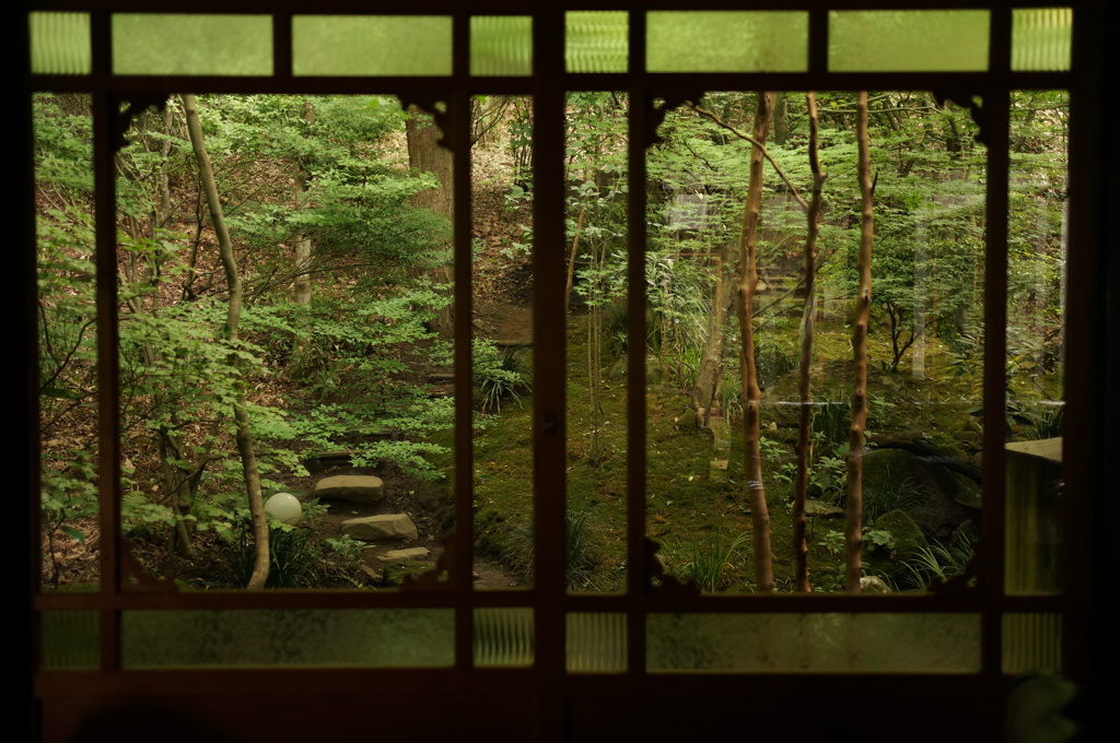 Japanese Garden