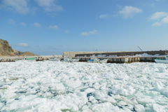 昆布森漁港の流氷。