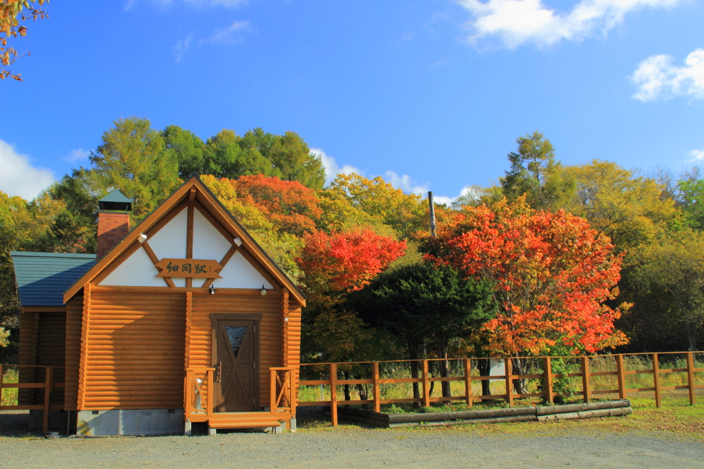 細岡駅と紅葉