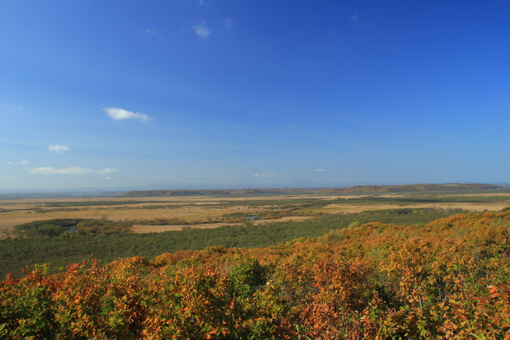 釧路湿原と紅葉