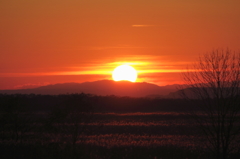 釧路湿原からの夕陽