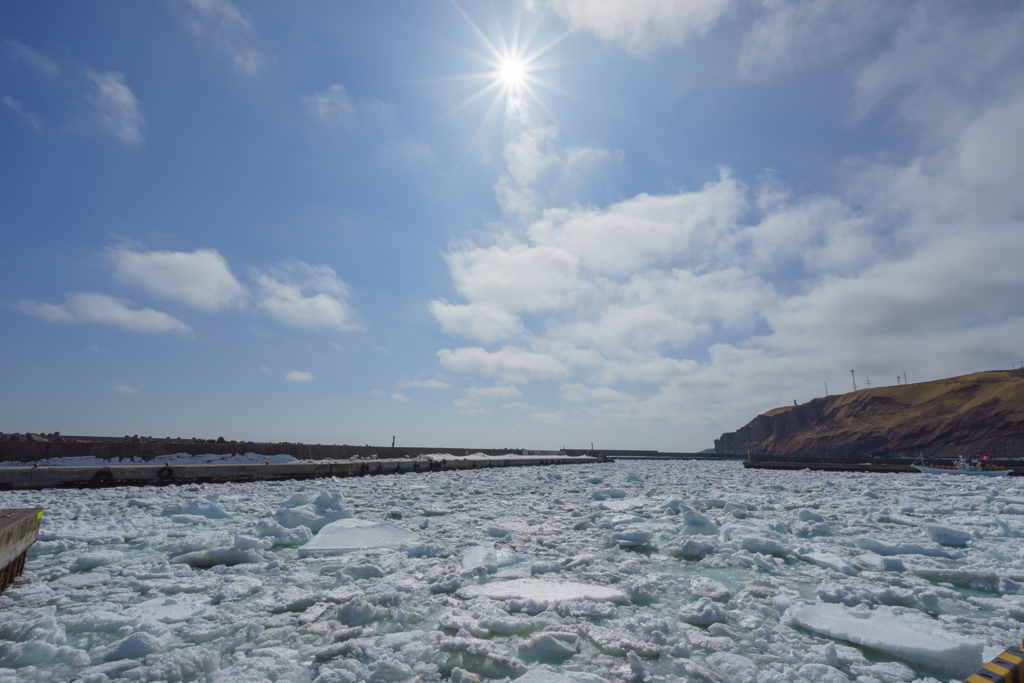 流氷に覆われた漁港内。