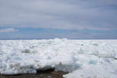 北海道野付半島の流氷。