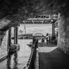 橋の下より　〜ディズニーシーの風景