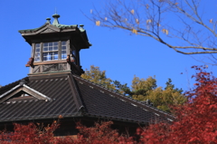 紅葉が待ち遠しい＜明治村＞