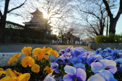 ほっこり清洲城