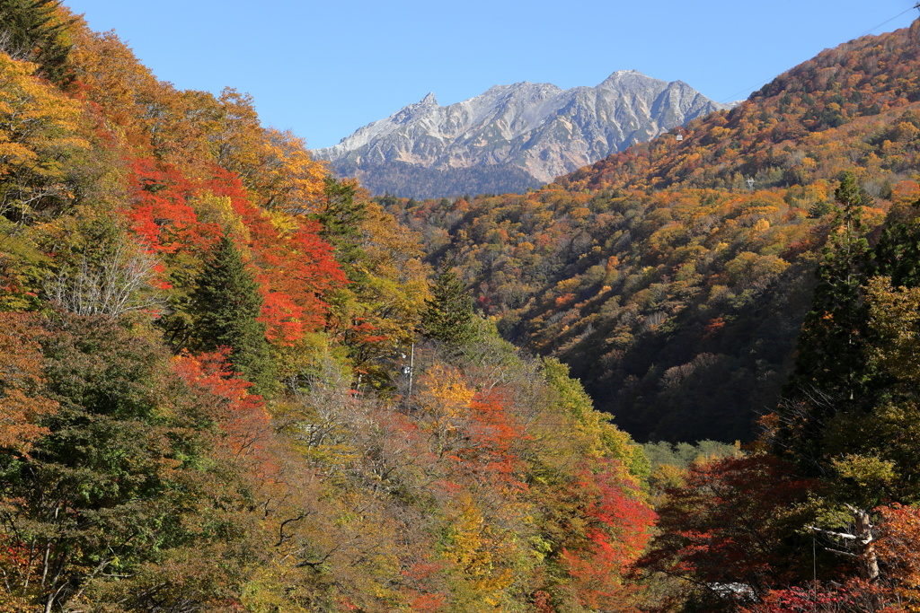 遠くに槍ヶ岳